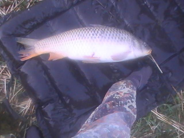 17-19 mai 2013 ziua  - pic0956.JPG